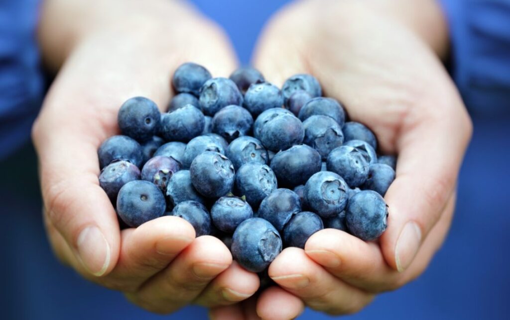 What happens if I eat blueberries everyday?