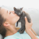 How Much Does It Cost To Adopt A Cat