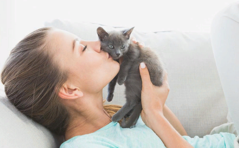 How Much Does It Cost To Adopt A Cat?